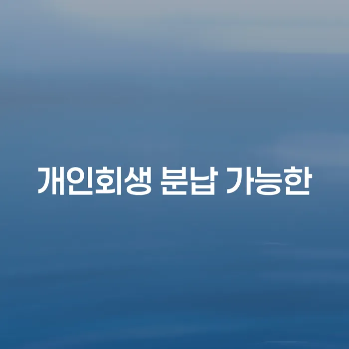 개인회생절차 개인회생 해결하고 싶다면