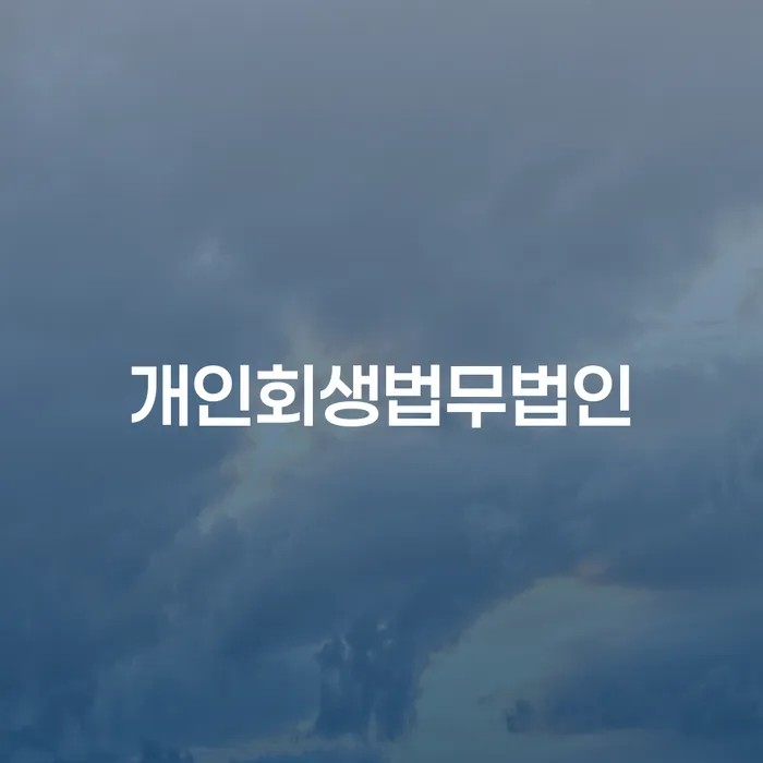 개인파산개인회생 개인회생으로 현명하게 믿고 진행 할 수 있는