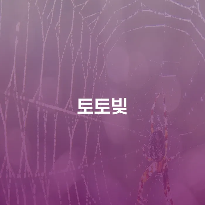 신용회복방법 채무 효과적인 해결방법 관련정보