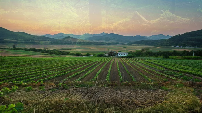 개인회생통장사용