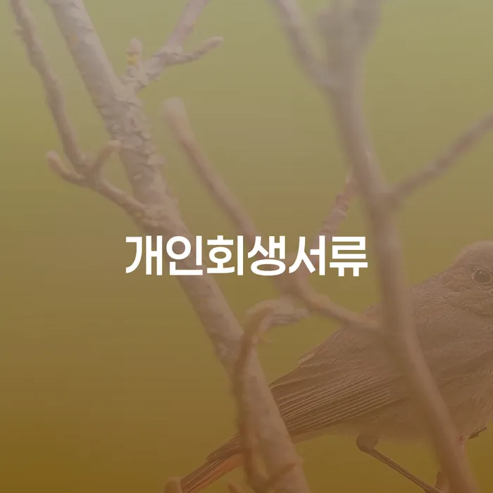 노원구 빚갚는법 빚갚는 방법 해결하는 방법