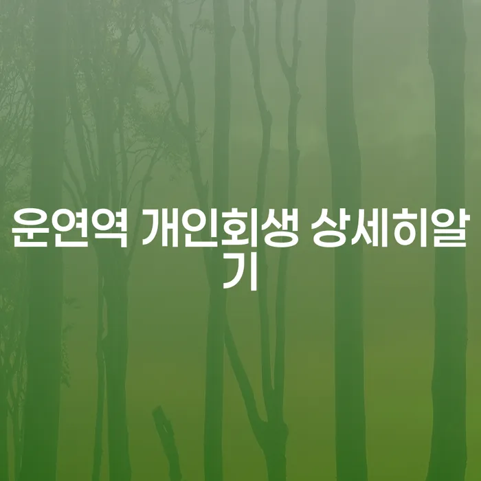 운연역 개인회생 상세히알기