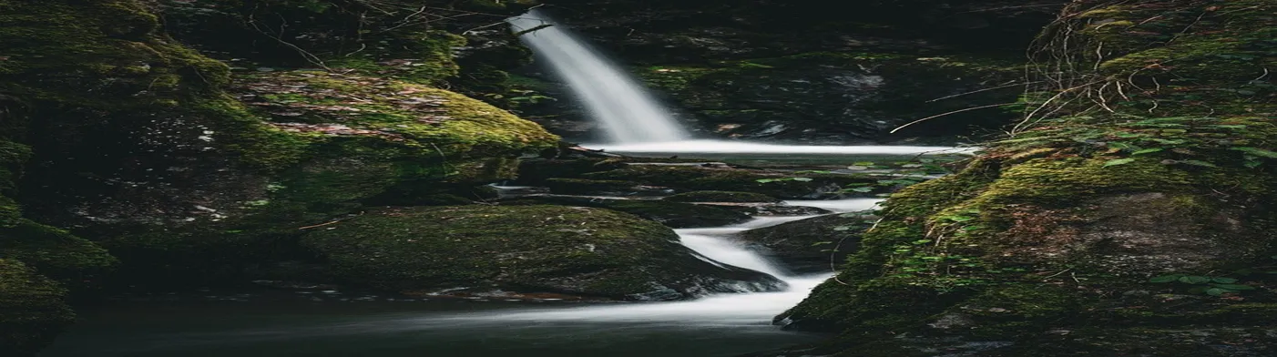 법무법인 서앤율