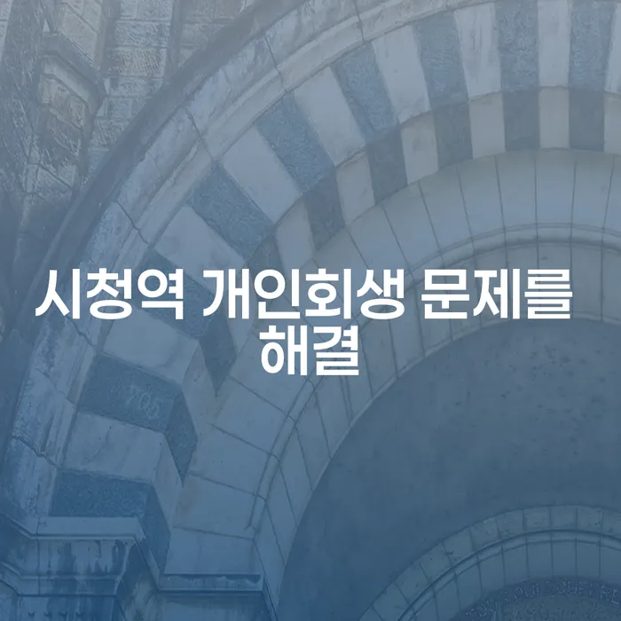 시청역 개인회생 문제를 해결