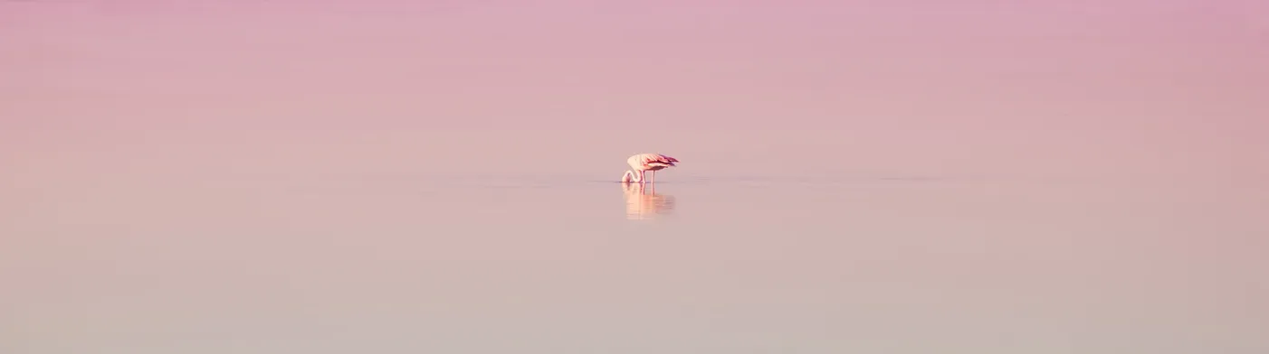 법무법인 서앤율