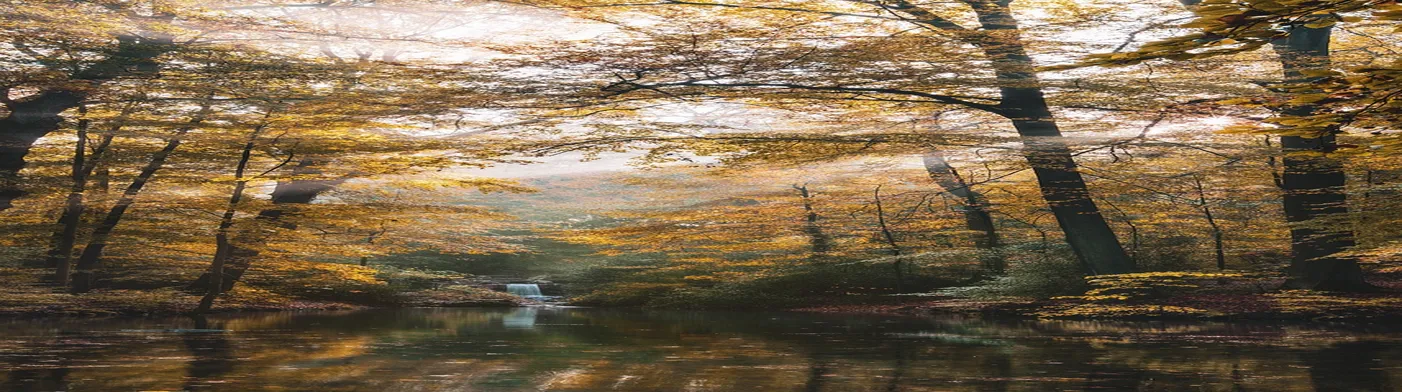 법무법인 서앤율