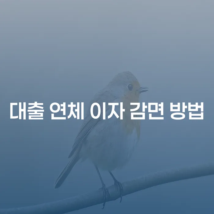 대출 연체 이자 감면 방법, 어떻게 시작해야 할까요?