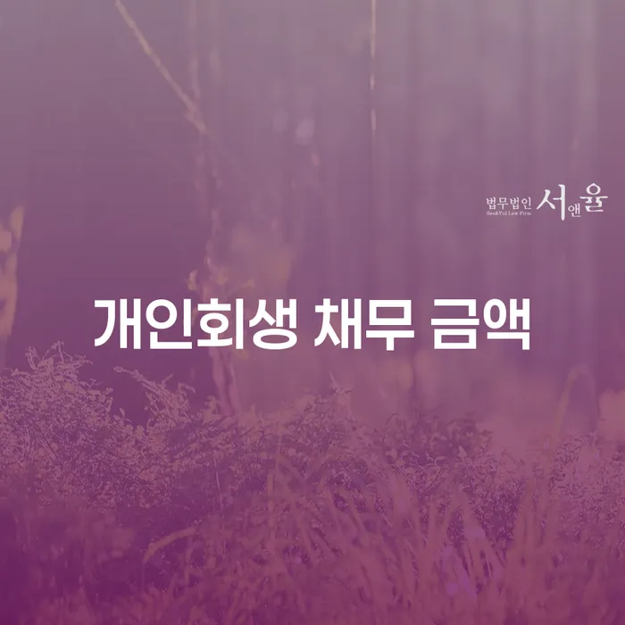 개인회생 채무 금액을 조정하는 가장 효과적인 방법은 무엇인가요?