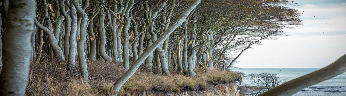 법무법인 서앤율