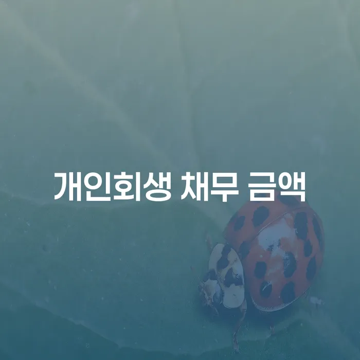 개인회생 채무 금액: 어떻게 시작해야 할까요?