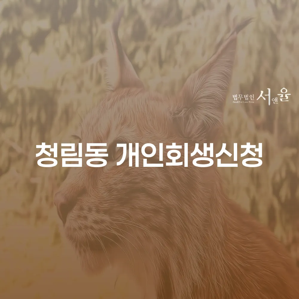 청림동 개인회생 신청의 필요성과 절차