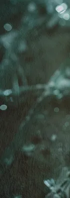 법무법인 서앤율 회생파산상담센터