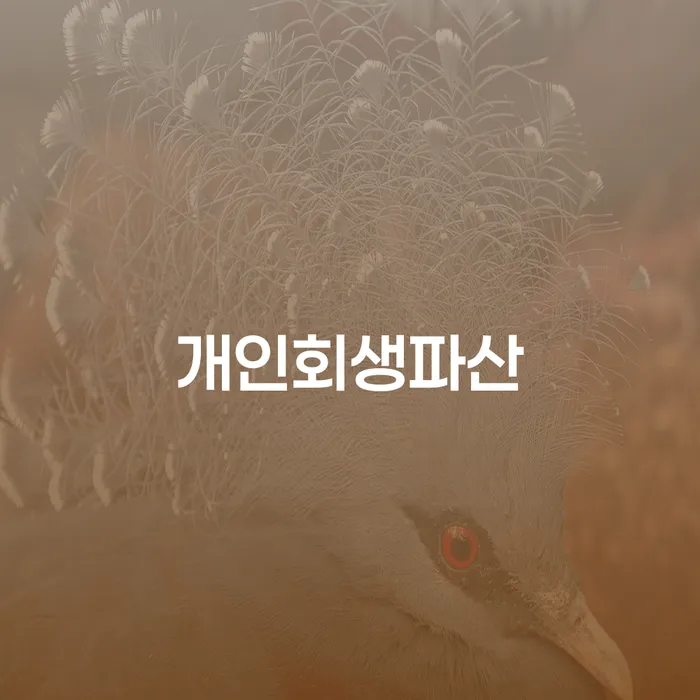 청양군에서 개인회생파산을 고민하시나요?