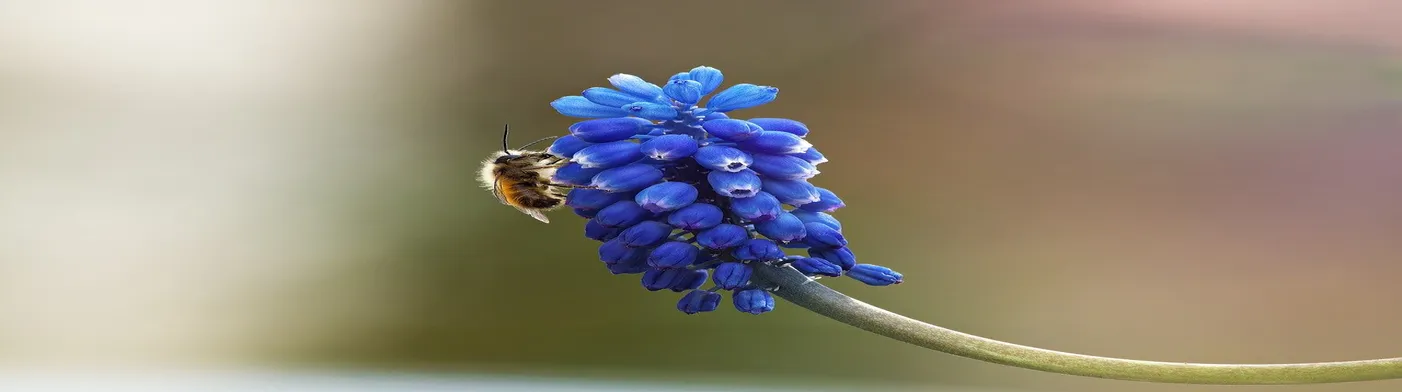 법무법인 서앤율