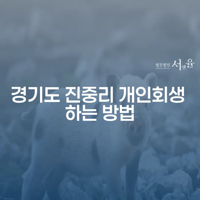 경기도 진중리 개인회생 하는 방법은 무엇인가요?