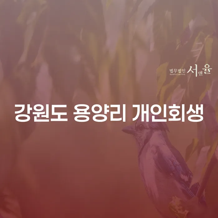 강원도 용양리 개인회생, 당신의 재정 문제 해결의 첫 걸음은?