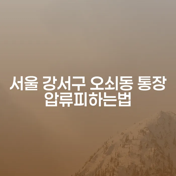 서울 강서구 오쇠동에서 통장압류를 피하는 방법은 무엇인가요?