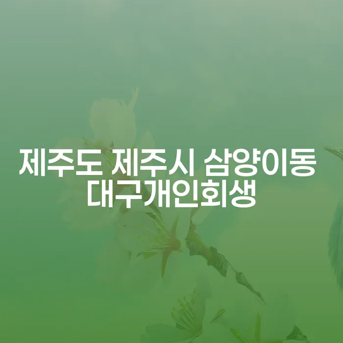 제주도 제주시 삼양이동에서 대구 개인회생이 필요한 이유는 무엇인가요?