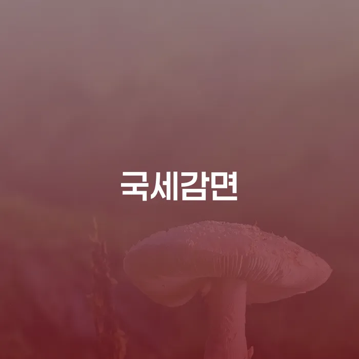 국세감면과 파산신청변호사: 당신의 재정 문제 해결을 위한 현명한 선택은?