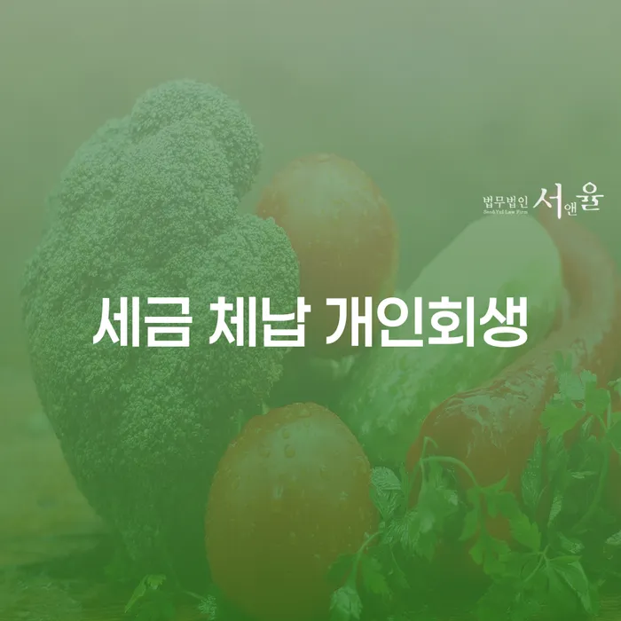 세금 체납 문제, 개인회생으로 해결할 수 있을까요?